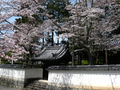 20060418-kyoto-temples-04