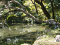 20060418-kyoto-temples-06