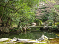 20060418-kyoto-temples-11