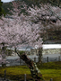 20060419-japon-02