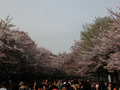 20060419-japon-05