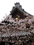 20060419-japon-08