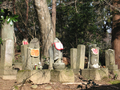 20060419-japon-12