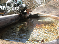 20060419-japon-13