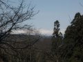 20060419-japon-18