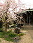 20060419-japon-01