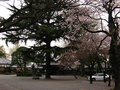 20060419-japon-06