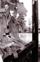 japon-argentique-04