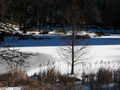 03_20070228_NY