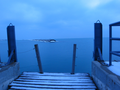14_20070228_Chicago