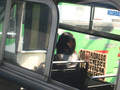 04_bus