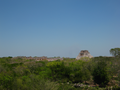 11_Uxmal