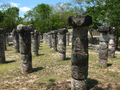 14_Colonnes