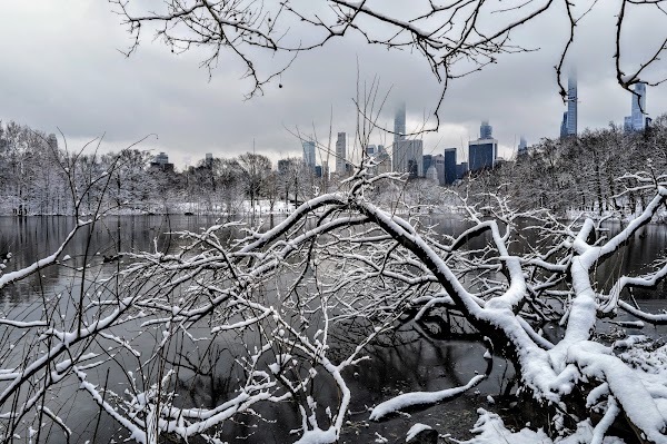 Un peu de neige à Central Park
— New York, Février 2024