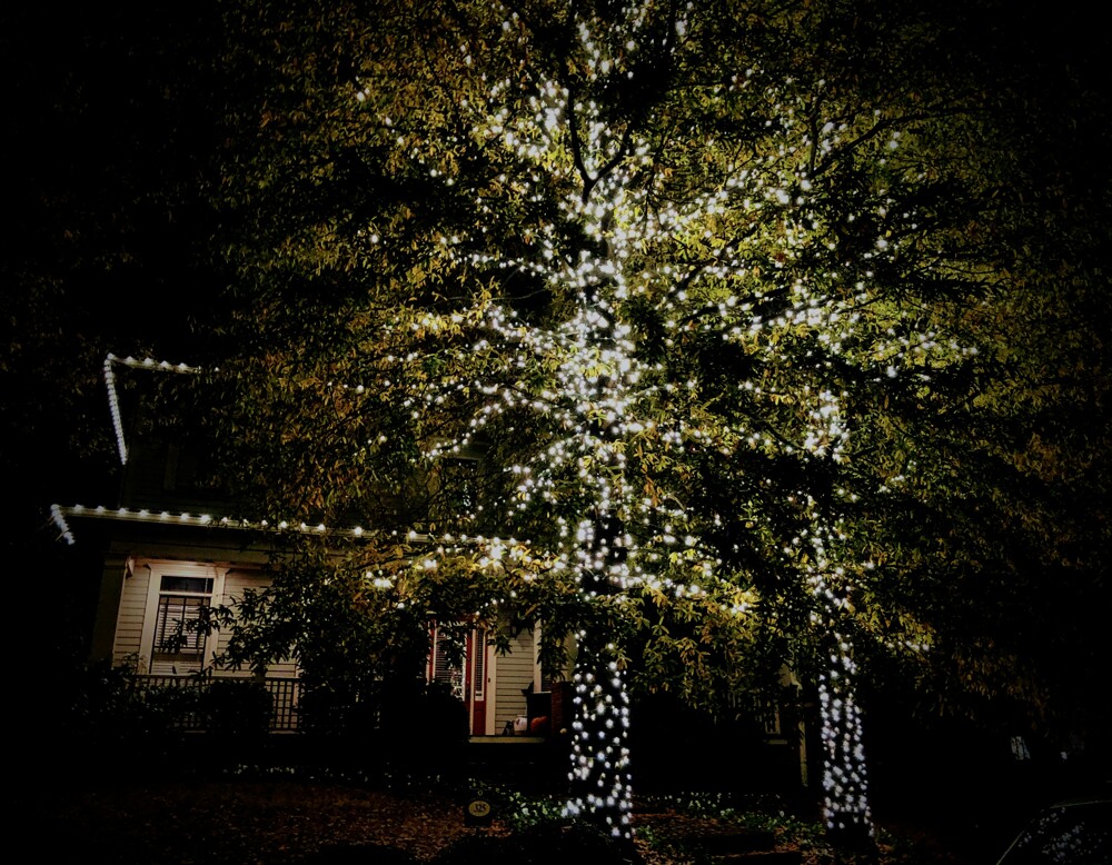 Les décorations sont là pour nous rappeler que c'est déjà la saison. — Atlanta, Novembre 2018