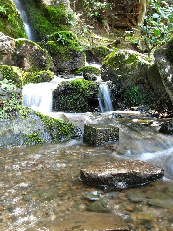 Avril 2006
— Kyoto, Japon