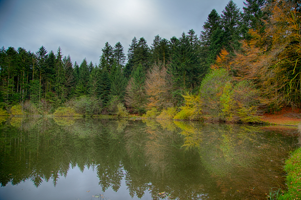 L'automne nous avait apporté de chouettes couleurs aussi, en France.
Vosges — Nov. 2013