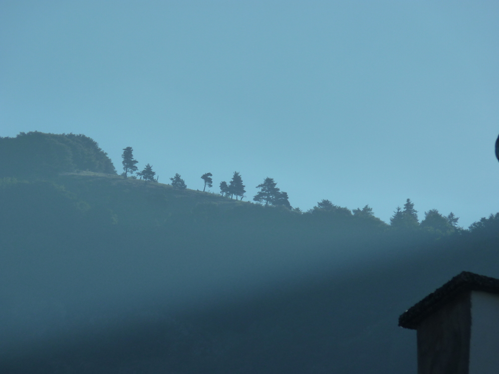 On était partis très tôt pour éviter le soleil, il faisait encore frais. En haut, la cime vers laquelle nous marchions était dans la brume.

— Aspres, Juillet 2010;