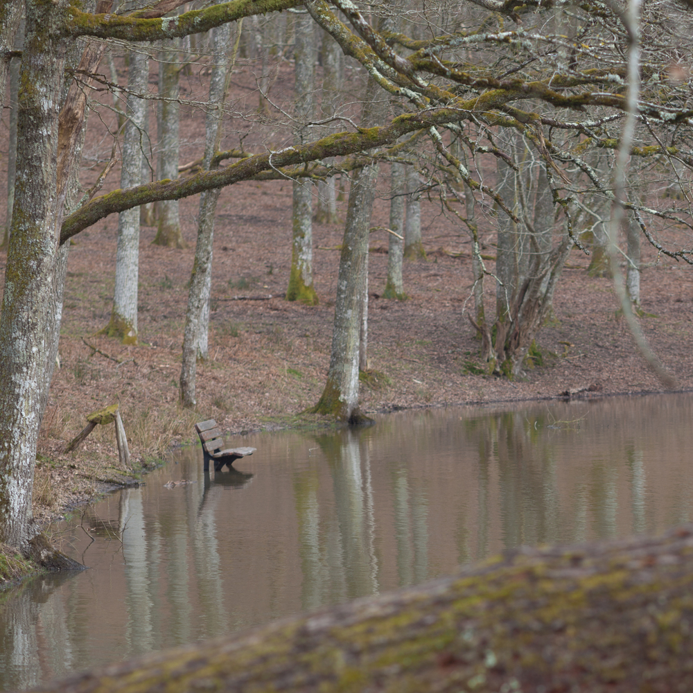 Le banc prisonnier résiste encore.
- Parc du Boutissaint, Février 2016