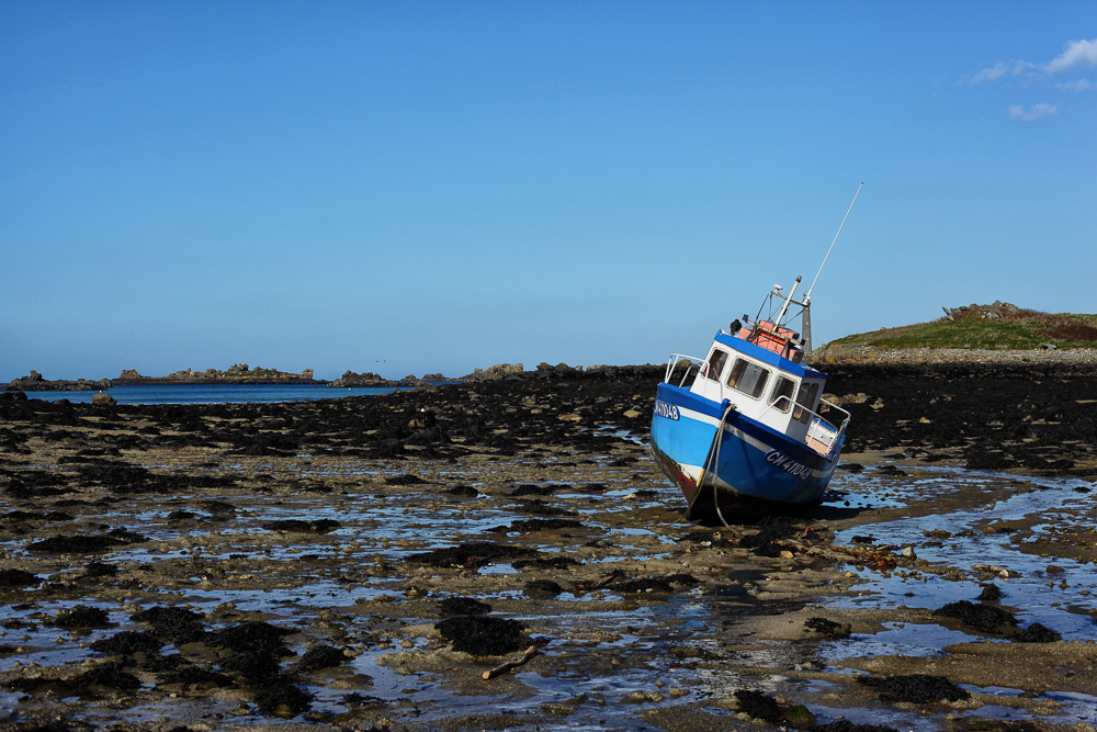 Premier week-end ensoleillé de l'année, nous avons marché le long de la côte. Le paysage faisait très cliché.