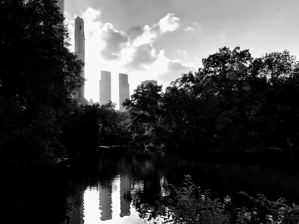 Depuis Central Park
- New York, Juillet 2019