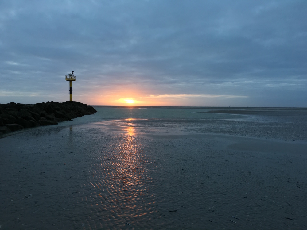 Puisqu'on n'a jamais l'appareil photo au moment où l'on en a besoin —précisément un 25 décembre sur la plage de Camiers-Sainte-Cécile — l'iPhone s'en sort très bien. 