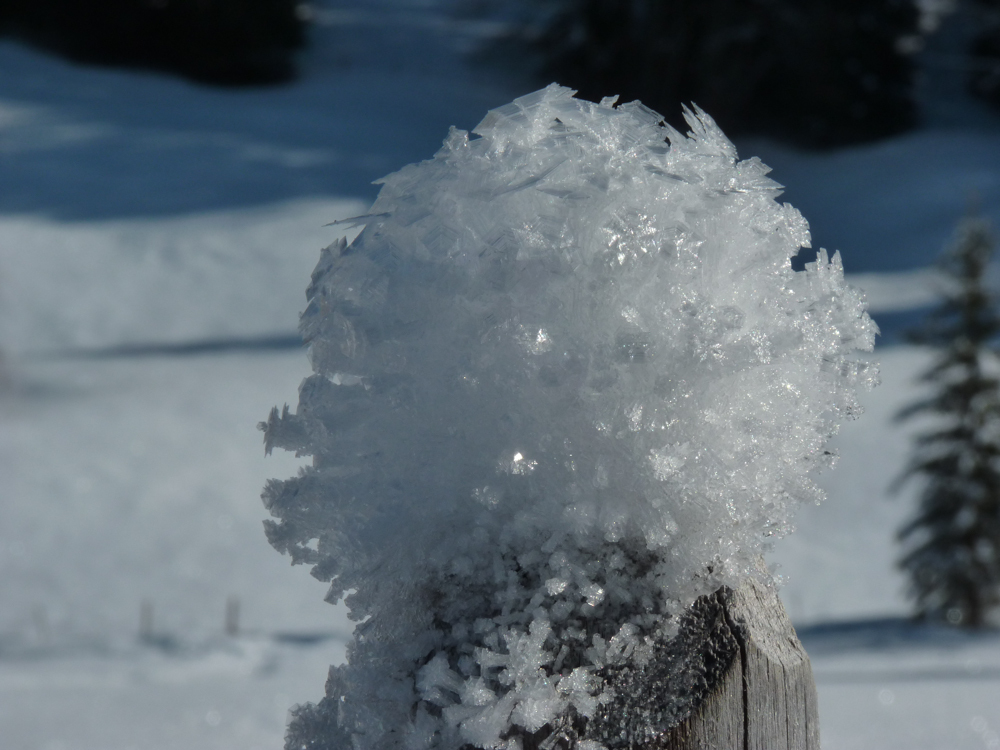 L'une de mes photos d'hiver préférées.
— Les Diablerets, Janvier 2011