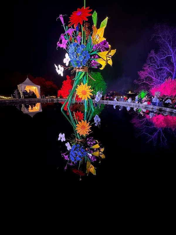 Des fleurs géantes et leurs reflets. 
— Atlanta, Novembre 2022