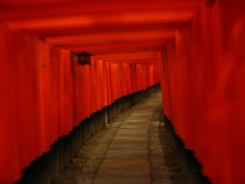 Je me rappelle que ça montait, pas beaucoup plus. J'ai d'autres photos, nettes celles-là, mais c'est celle-ci que je préfère.

Kyoto, Japon;